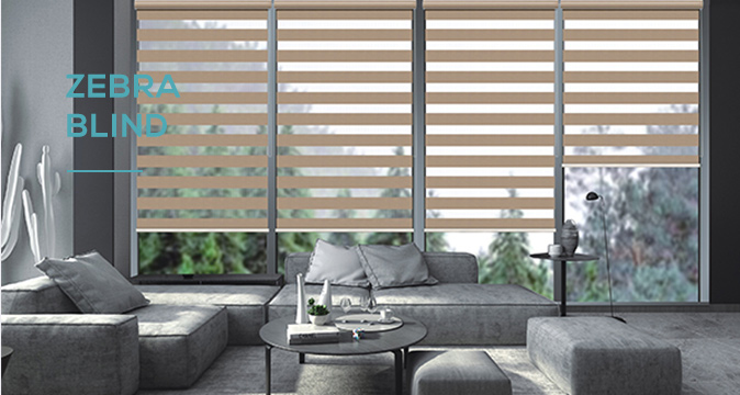 Zebra Blinds