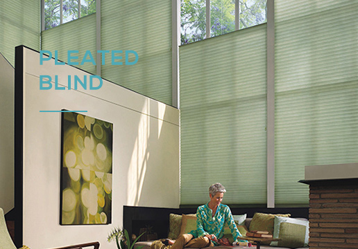 Pleated Blinds